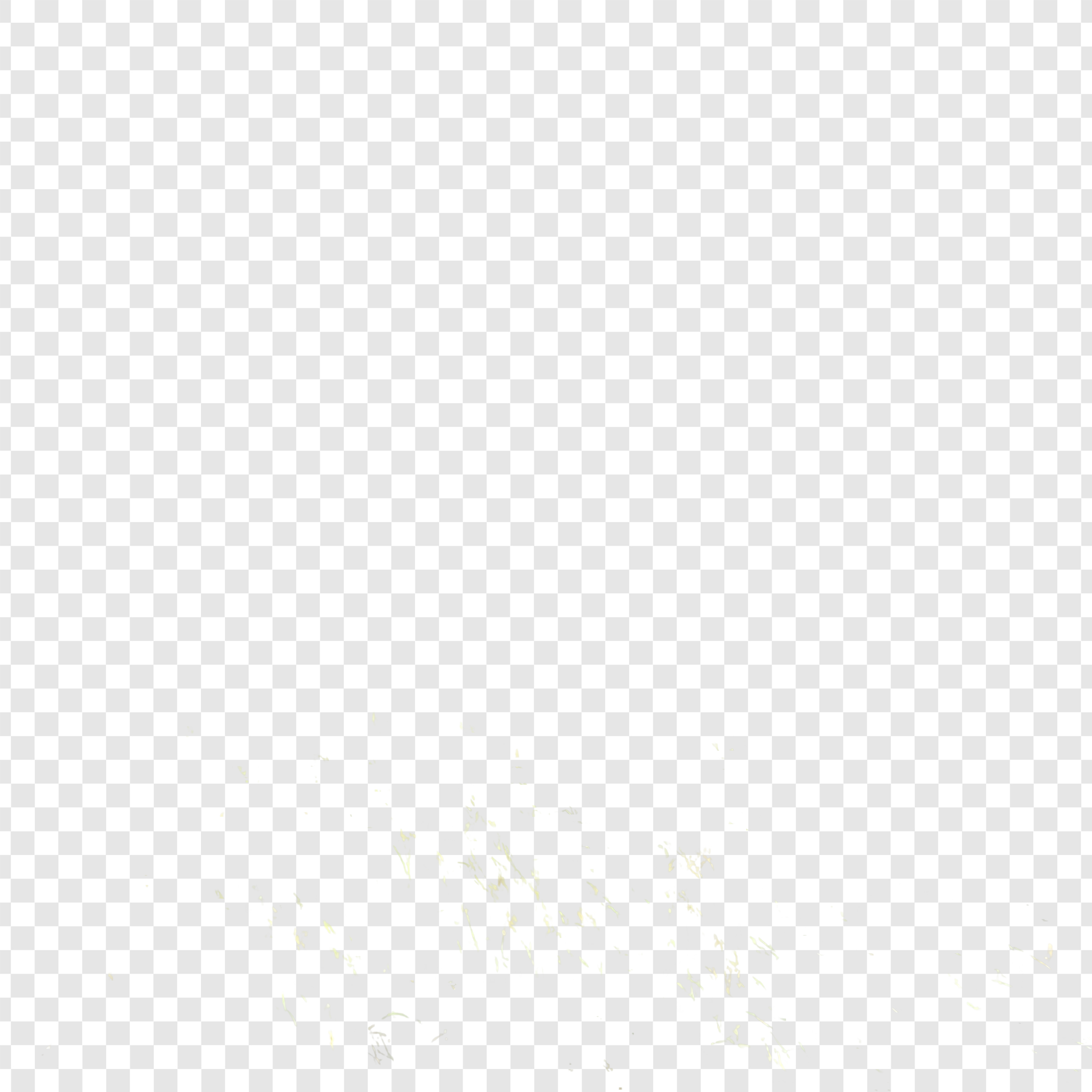 zdp-dev